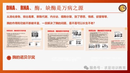 图片37.jpg