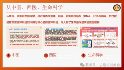 图片35.jpg
