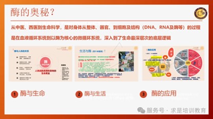 图片39.jpg